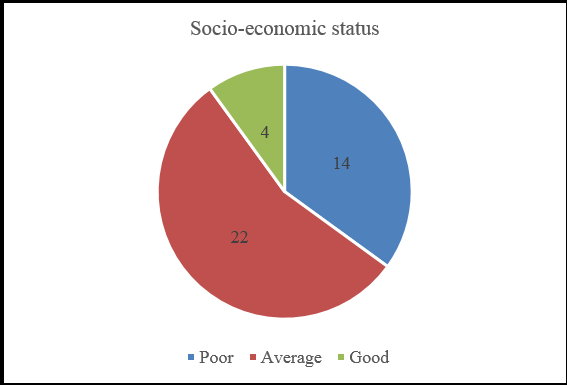 Socio- economic status