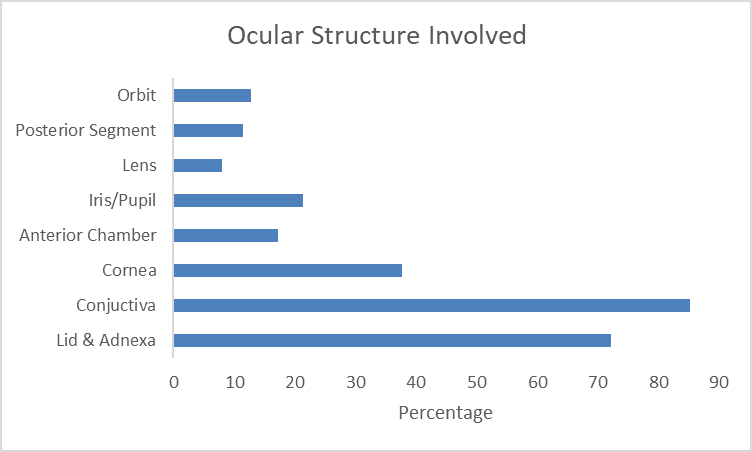 Ocular structure involved