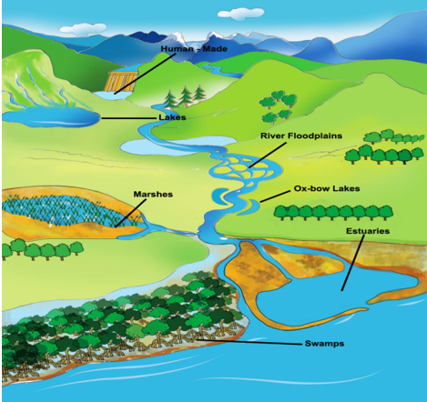 Major Wetland typesSource: https://indianwetlands.in/wp-content/uploads/2021/01/SS_2.3-1.png
