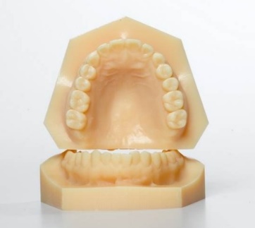 3-D printed study models