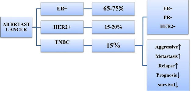Comparison of triple-Negative breast cancer (TNBC) with other breast cancer subtypes. In the landscape of breast cancer, TNBC accounts for approximately 15% of cases,