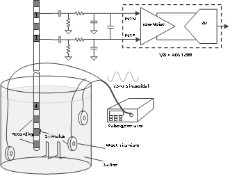 Schematic-diagram of in-vitro experimental-set-up employed to gather local field potentials in the course of deep brain stimulation.