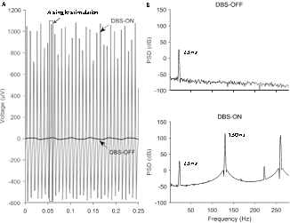 Physical characteristics of SS.