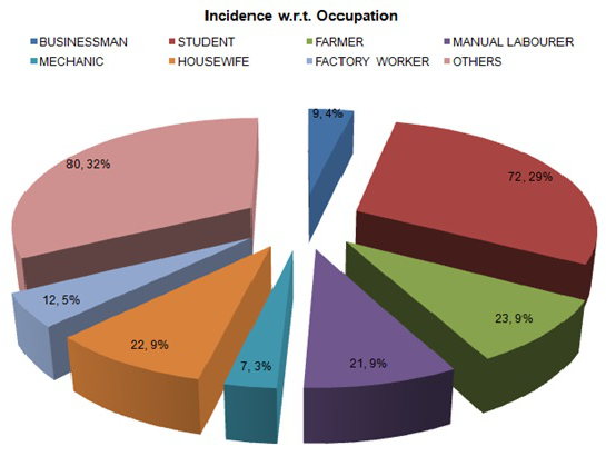 Pie chart showing Incidence with respect to occupation