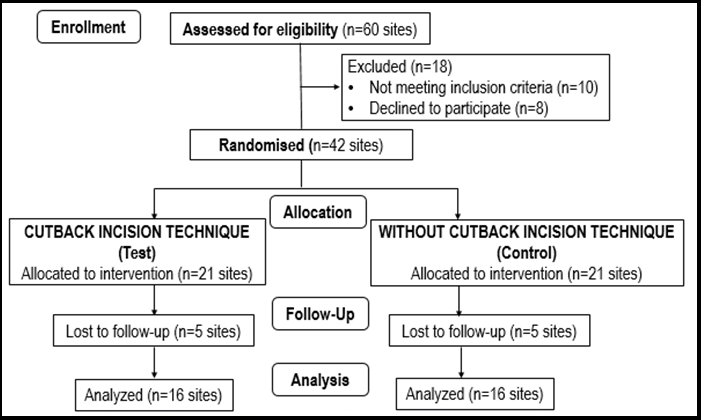 CONSORT flow diagram showing a detailed description of the present trial