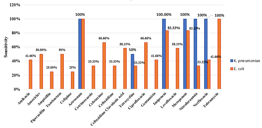 Sensitivity pattern of Enterobacteriaceae