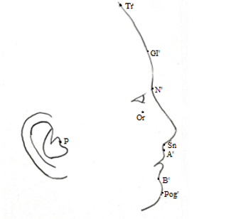 Schematic drawing of measuring points Or, P, Tr, GI’, N’, A’, Sn, B’, Pog’.
