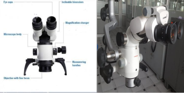 Body of the microscope