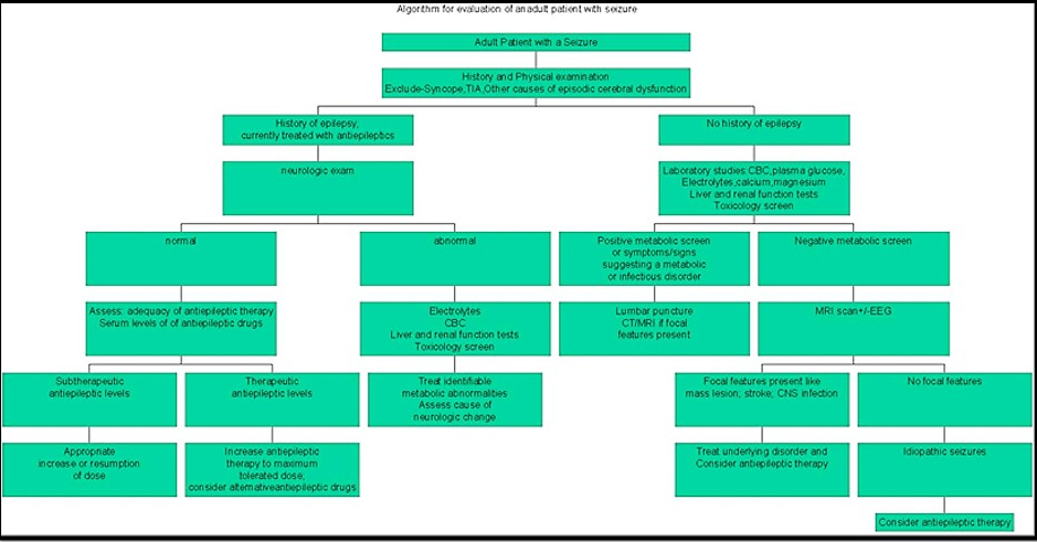 Algorithm for evaluation of an adult with seizure