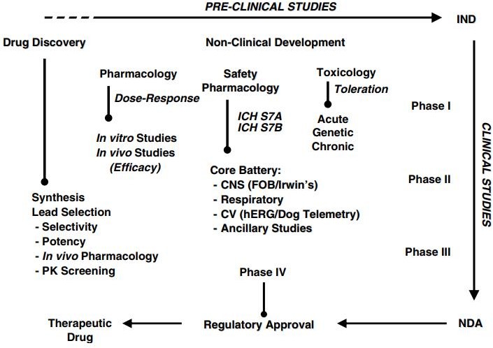 Fundamental of drug approval4