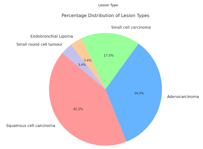 Summarize the distribution of different histopathological findings among the patients studied.