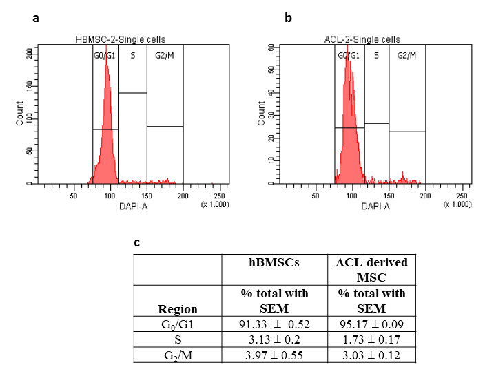 Results of cell cycle analysis by FACS. Histogram plot for a) hBMSCs and b) ACL-MSCs. c) Table showing percentage of cell numbers between two samples in their corresponding cell cycle stages. Results are shown as representative of triplicates; standard error of mean; level of significance, p<0.05