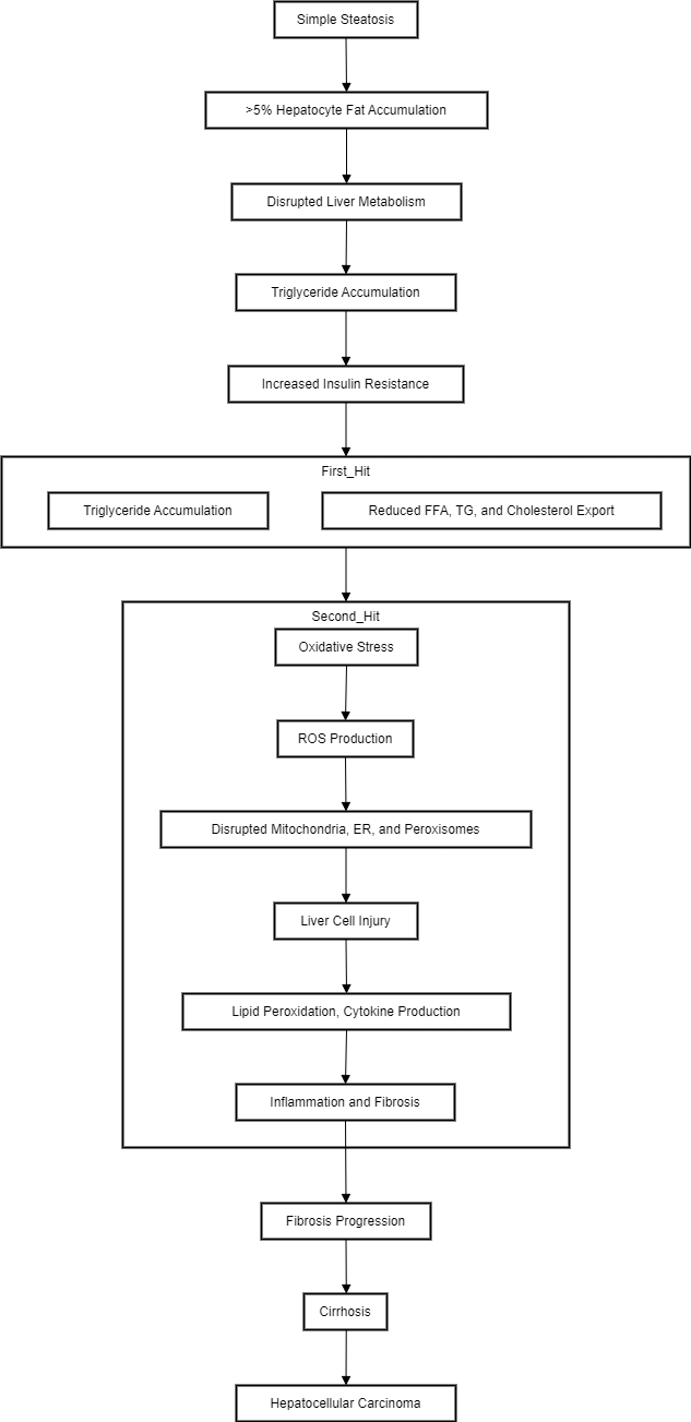 Role of inflammation and fibrosis progression