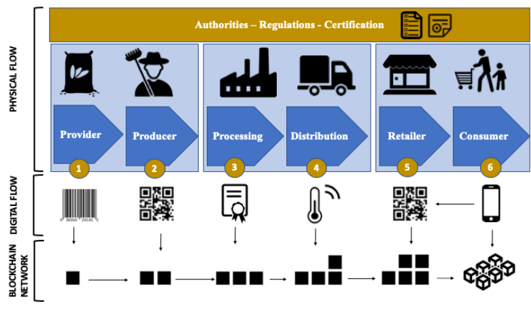 A simplified food supply chain system7