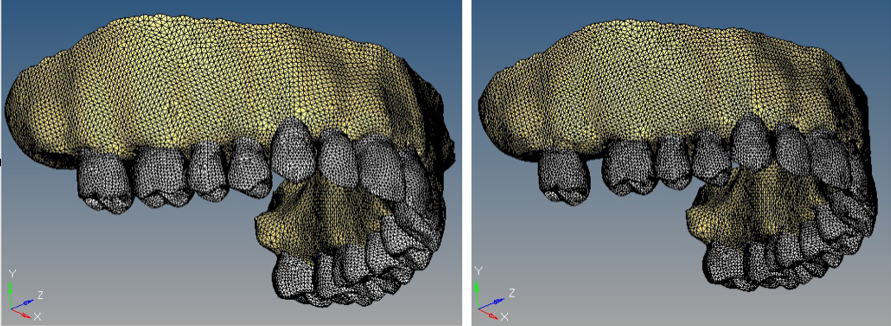 Mesh work of Set 1 and Set 2 models