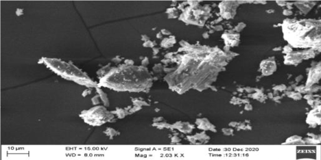 Synthetic calcium SEM image magnification 2.03KX