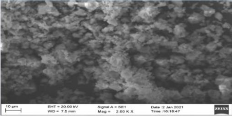 Plant calcium SEM image magnification 2.00KX