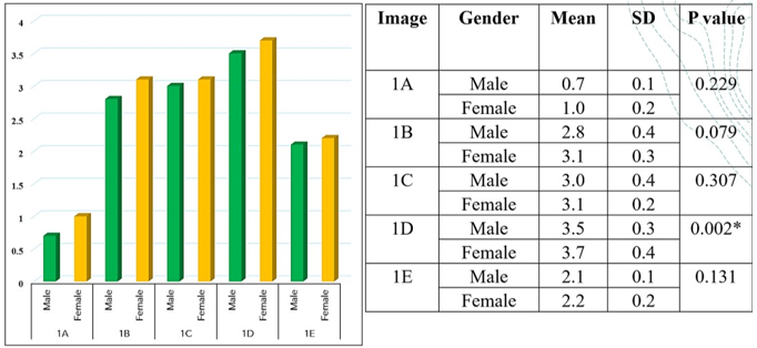 Comparison between the responses on male and female participants for diagram 2