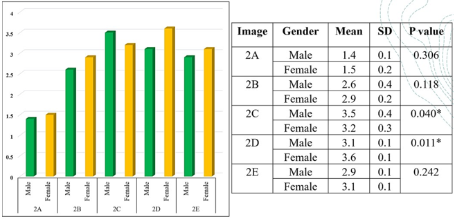 Comparison between the responses on male and female participants for diagram 3