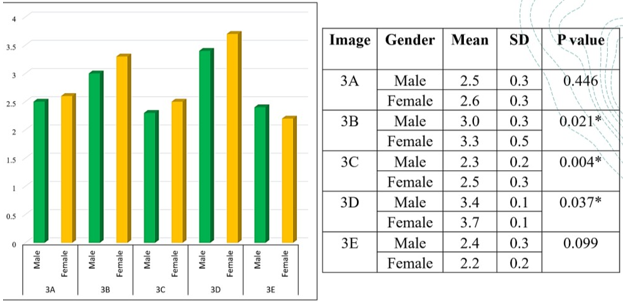 Comparison between the responses on male and female participants for diagram 4