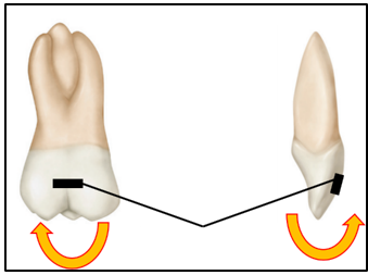 Centered V bend