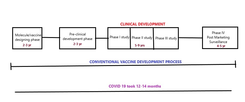 Process of development of vaccines