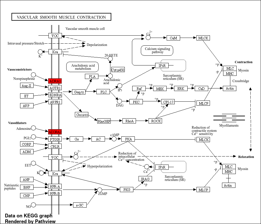 https://s3-us-west-2.amazonaws.com/typeset-prod-media-server/d50fd138-323f-4f87-bd3a-3e0cf5cdacaaimage5.png