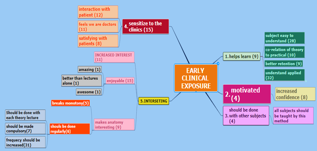 Thematic tree with subthemes from student responses