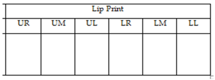 Chart for filling three quadrants o((Fig 4)UM), Upper Left (UL), Lower Right (LR), Lower Medium (LM), Lower t (LL)