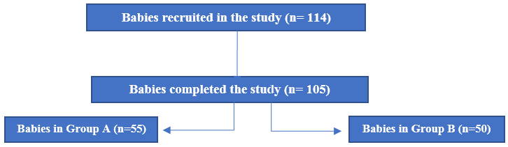 Summary of the babies involved in the study