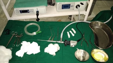 Instruments for nasal endoscopy