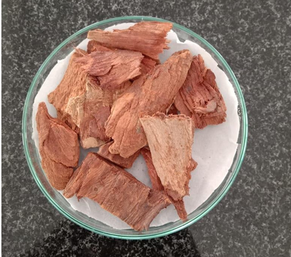 Arjuna Bark