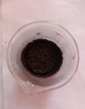 Acid insoluble Ash