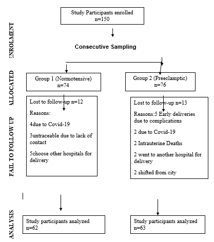 Flow chart of study design