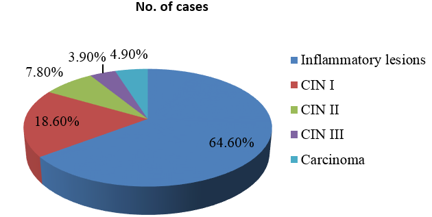 Distribution of study cases