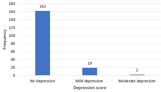 Severity of depression in patients