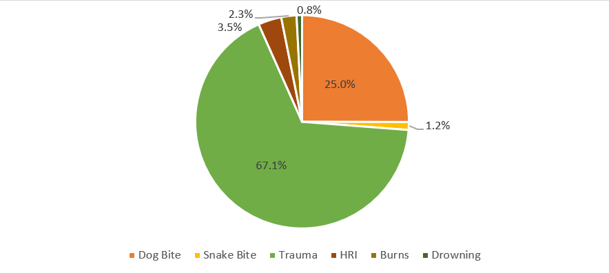 Proportions of non-communicable diseases on IHIP during Kumbh Mela 2021 Haridwar, from 01 April to 30 April 2021 (n=2421)