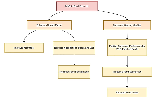 Impact of MSG on food palatability and consumer perception