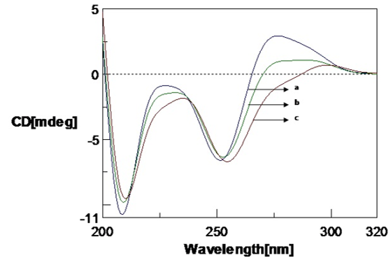 CD spectra of Poly (GC) with varied concentration of copper in 5mM Tris-HCl buffer., a. Poly (GC) alone, b. Poly (GC) +100 µM CuCl2, c. Poly (GC) +250 µM CuCl2.