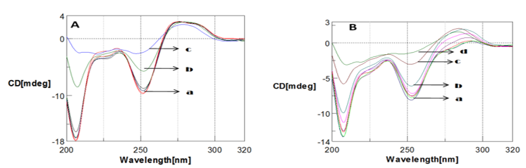 CD spectra of the effect of temperature on Poly (GC) sequence. A, a. Poly (GC) with varying temperature from 20- 70°C ( Minor changes), b. Poly (GC) with a temperature of 80°C, c. Poly (GC) with a temperature of 90°C