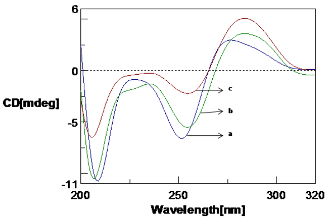 CD spectra of Poly (GC) with varied concentration of copper in 5mM Tris-HCl buffer. a. Poly (GC), b. Poly (GC) +500 µM CuCl2, c. 1mM CuCl2.