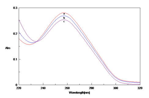 UV absorption spectra of Poly (GC) sequence and with Aβ1-16 peptide in 5mM Tris-HCl buffer (pH.7.4) a. Poly (GC), b. Poly (GC) +Aβ1-16(10μM) c. Poly (GC) +Aβ1-16(20μM)
