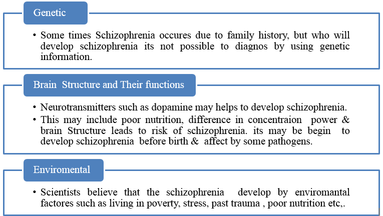 Risk factors 15