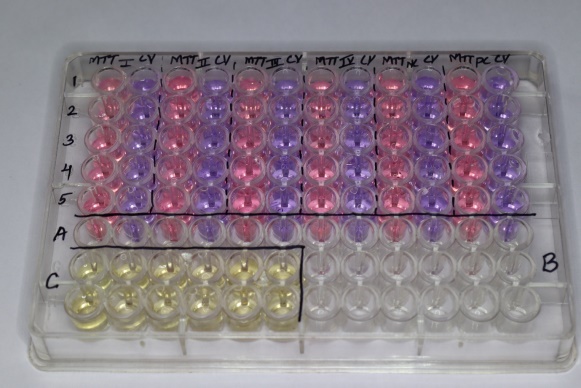 MTT and CV tests ongoing in the lab