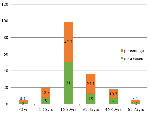 Column chart showing age distribution