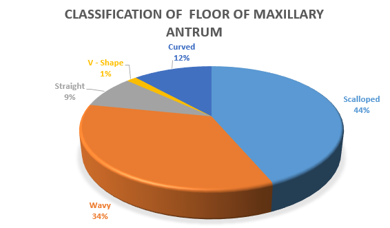 Showing pie diagram of classification of floor of maxillary antrum.