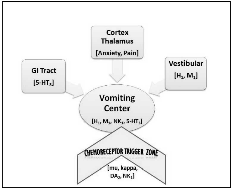 CTZ mediated nausea and vomiting