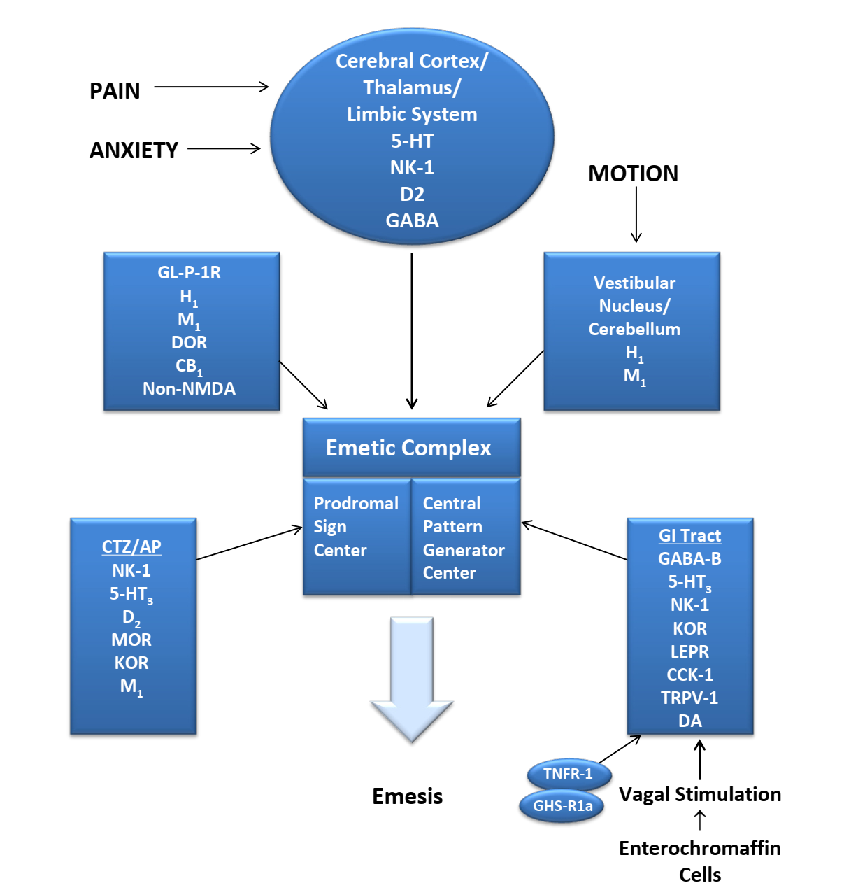 Location of receptors contributing to nausea and vomiting