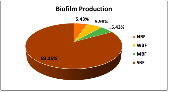 Distribution of biofilm producers among all isolates
