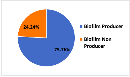 Pie chart showing Association of AmpC with Biofilm producers